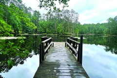 Sara-Zenner-Mirror-lake