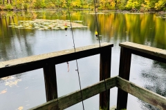 shrpa-bradley-park-mirror-lake