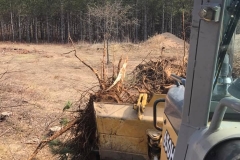 Northern WI Land Services 3