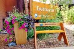 Treehaven 1