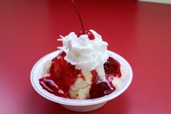 Windmill Ice Cream Shoppe 3