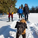 Snowshoeing with a black dog in Tomahawk WI